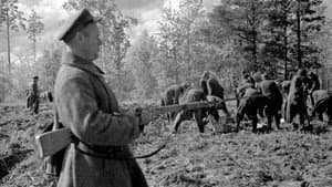 Les Bourreaux de Staline : Katyn, 1940 — foto 1
