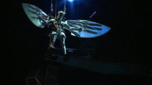 Wagner: Siegfried — foto 2
