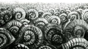 Les escargots — foto 6