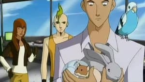 Episodio 13