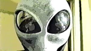 Suroh: Alien Hitchhiker — foto 3