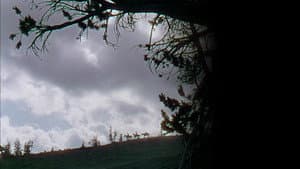 Tierra y esperanza — foto 8