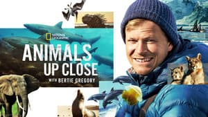 Animales de cerca con Bertie Gregory — foto 7