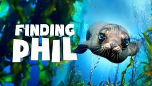 Finding Phil — foto 1