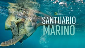 Sea of Hope: America's Underwater Treasures — foto 5