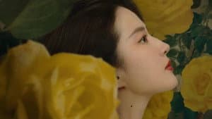 玫瑰的故事 — foto 4