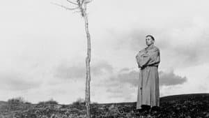 Francesco, giullare di Dio — foto 2