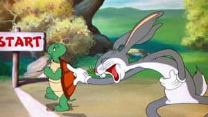 Tortoise Beats Hare — foto 1
