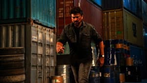 భోళా శంకర్ — foto 3