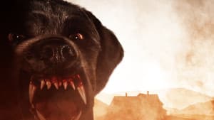 Cujo — foto 12
