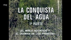 Episodio 61
