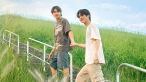 ใบไม้ผลิปีที่ 17 — foto 1