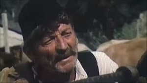 Melodi e pandërprerë — foto 1