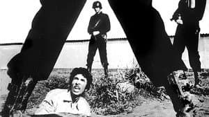 La Voie — foto 1