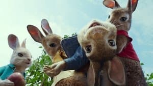 Las travesuras de Peter Rabbit — foto 3