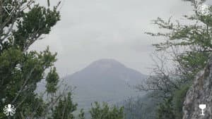 Zone — foto 1