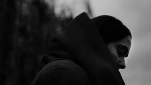 Silent Scars — foto 6
