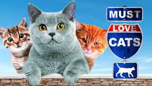 Animal Planet: Must Love Cats — foto 1