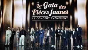 Le Gala des Pièces Jaunes 2025 : Le concert événement — foto 1