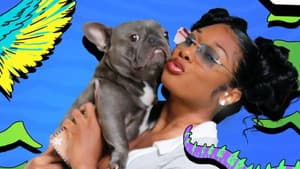 Off Thee Leash — foto 1