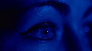 Dark Night — foto 8