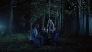 CAMP — foto 1