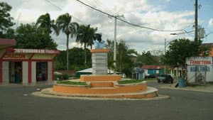 Mamá Tingó: Memoria viva de la tierra dominicana — foto 6