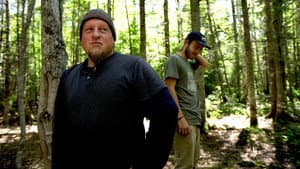 La famille de la forêt — foto 4