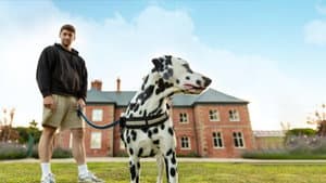 Bad Dog Academy — foto 4