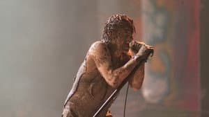 Nine Inch Nails: Woodstock 94 — foto 2