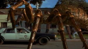 Spiders — foto 5