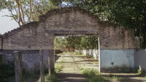 o céu diante dos meus olhos nunca é cinza — foto 3