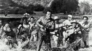 Regreso a Bataan — foto 4