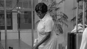Fannie's Film — foto 1
