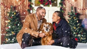 A Christmas Stray — foto 1