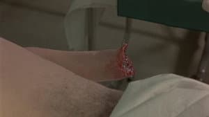 Zombi Holocaust — foto 4