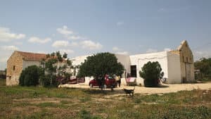 Manca Moro  مقرونة عربي — foto 5