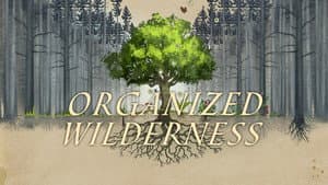 Organized Wilderness — foto 1