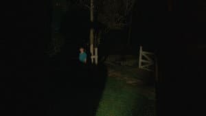 2/1 — foto 1