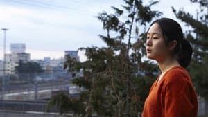 이리 — foto 4