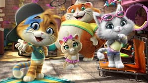 44 gatos — foto 2