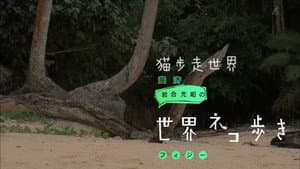 Episodio 61