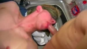 Jamie's First Fuck — foto 1