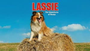 Lassie: The Adventures of Neeka — foto 2