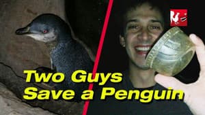 Episodio 18