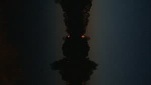 The Girl With A Thousand Faces — foto 2