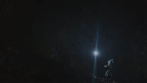 Spiritus Lepus — foto 1