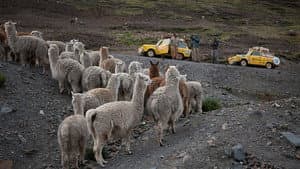 Episodio 6