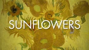 Sunflowers — foto 6