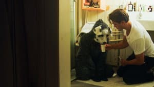 Good Boy — foto 11